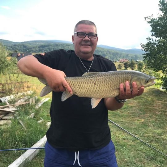 Graskarpfen