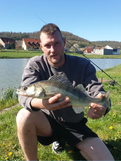 Zander