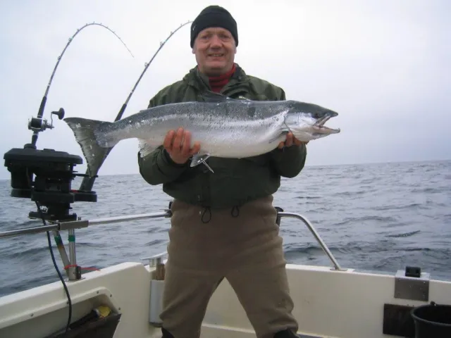 Lachs