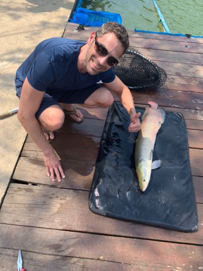 Arapaima