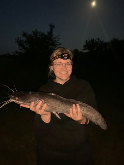 Afrikanischer Raubwels