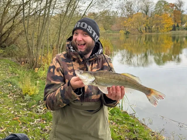 Zander