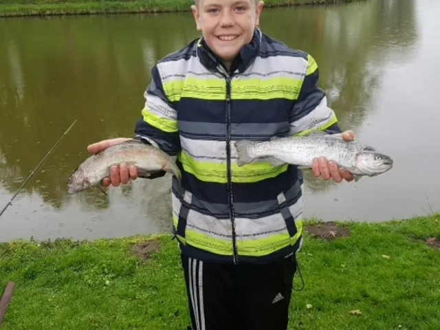 Regenbogenforelle