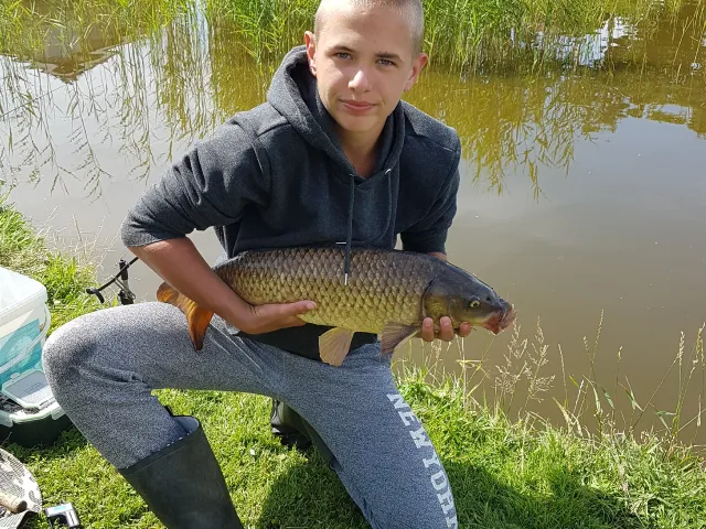 Karpfen
