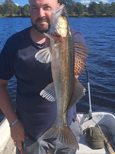Zander