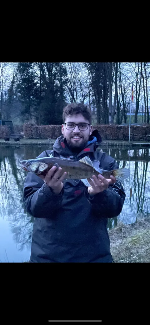 Zander