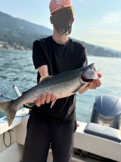 Lachs
