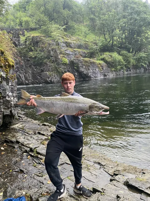 Lachs