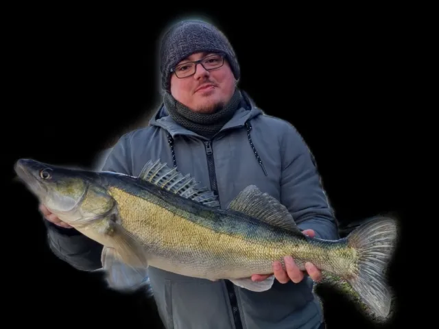 Zander