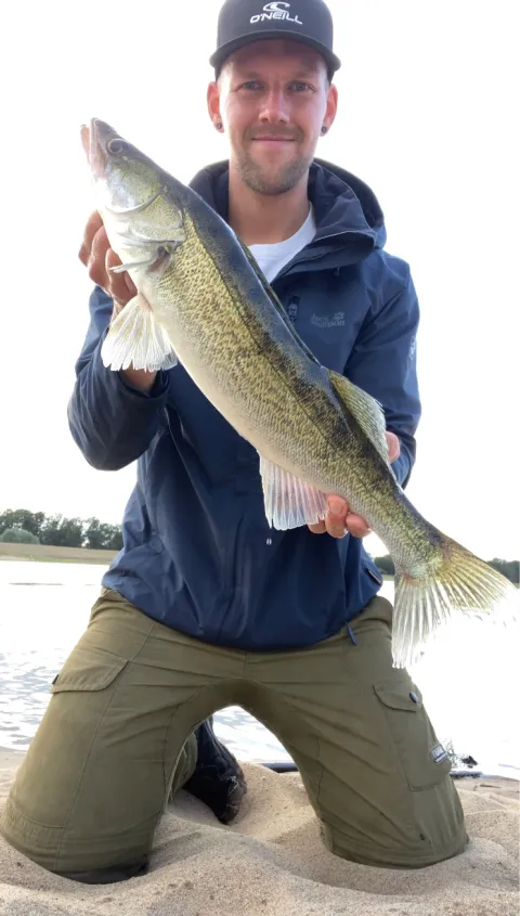 Zander