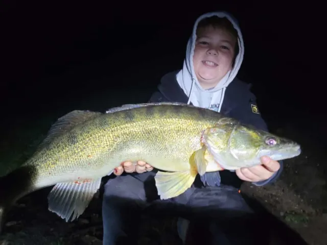 Zander