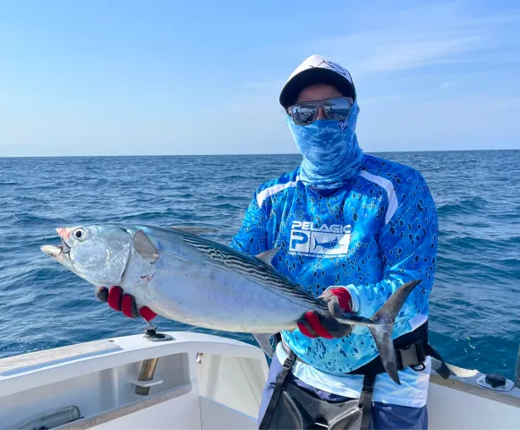 Bonito