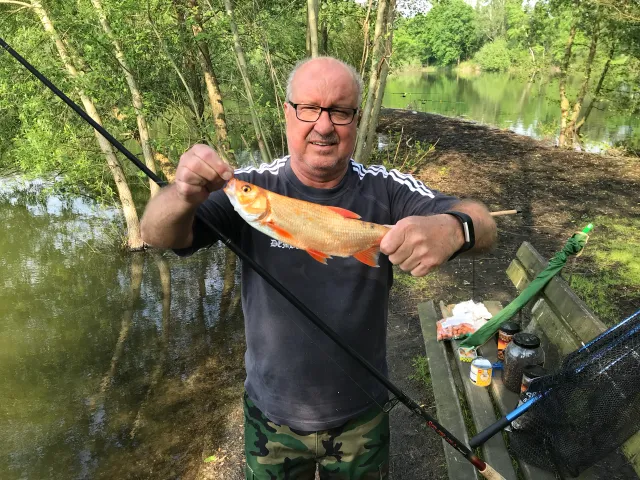 Goldorfe