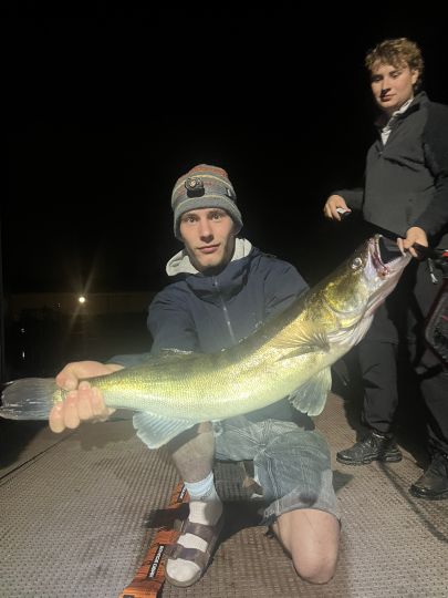 Zander