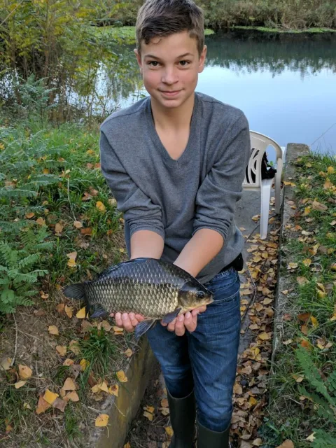 Giebel