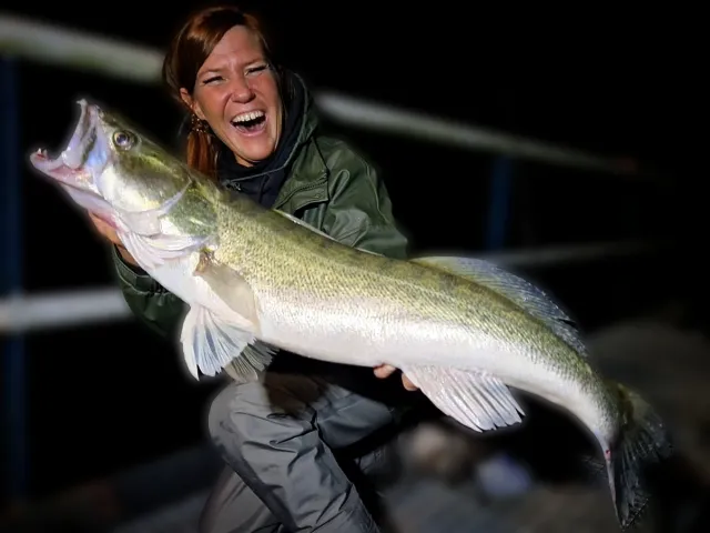 Zander