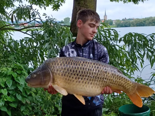 Karpfen