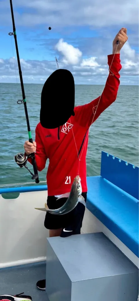 Amberjack