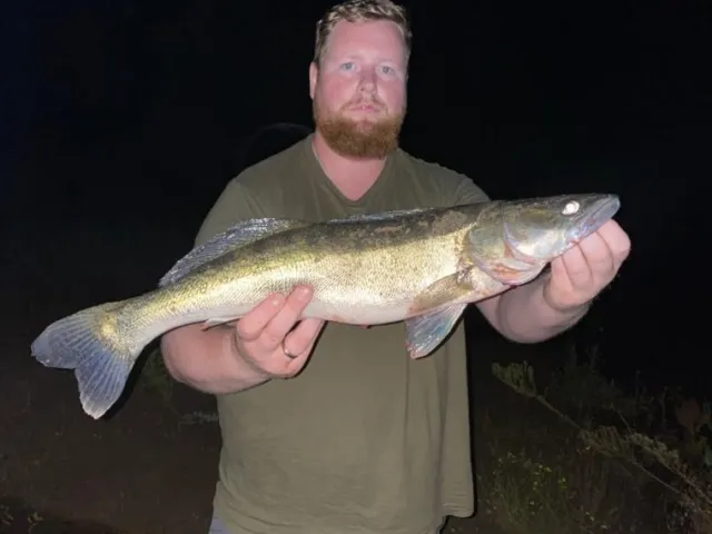 Zander