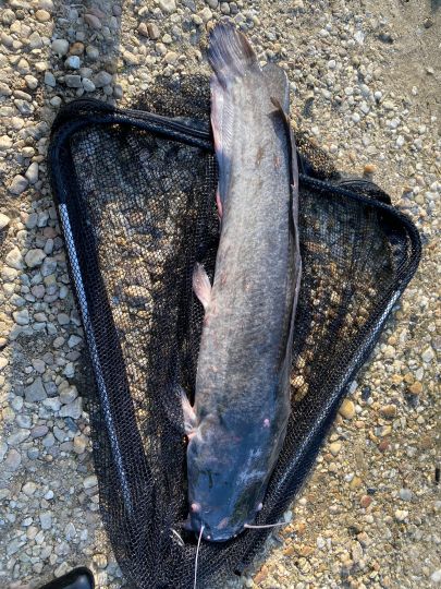 Angelpark Klein-Sibirien  ALLE ANGELN