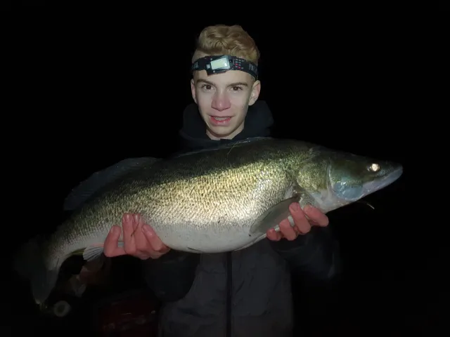 Zander