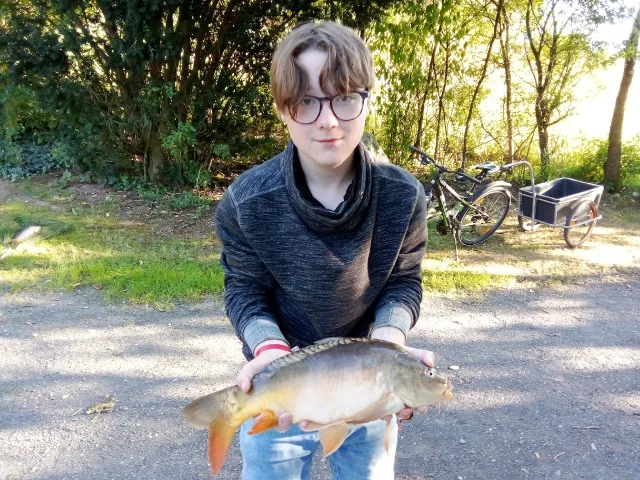 Karpfen