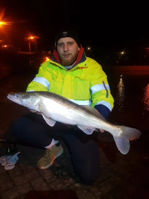 Zander