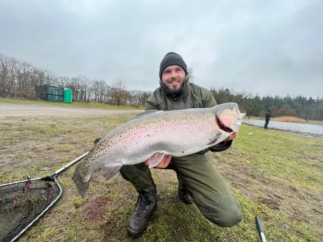 Regenbogenforelle