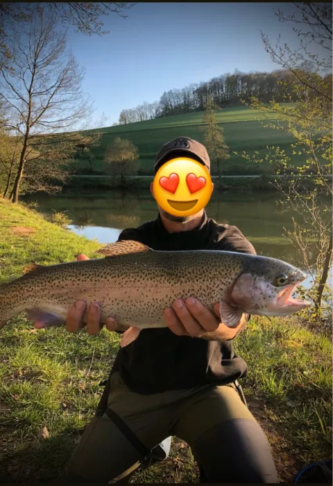 Regenbogenforelle