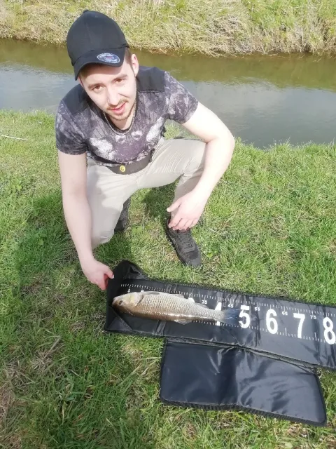 Döbel