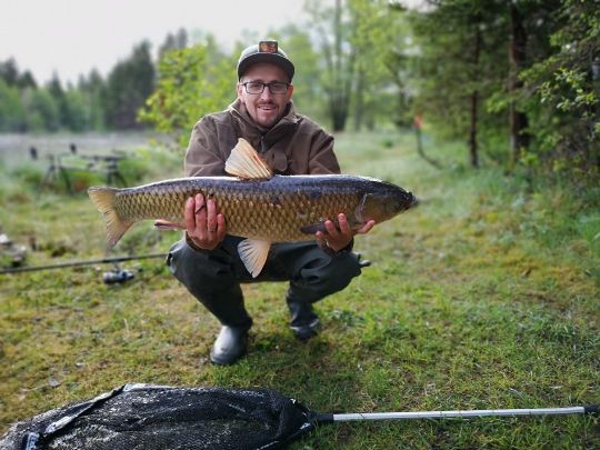 Graskarpfen