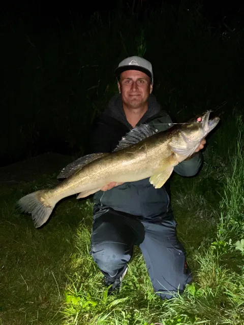 Zander