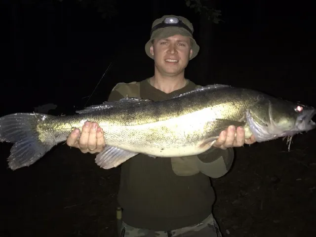 Zander