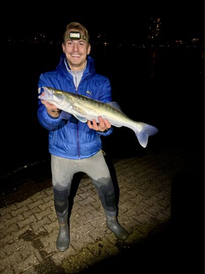 Zander