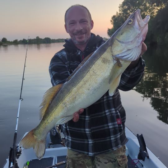 Zander