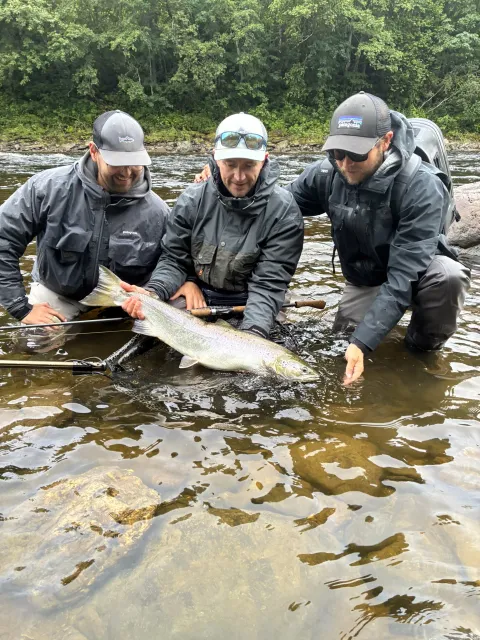 Lachs