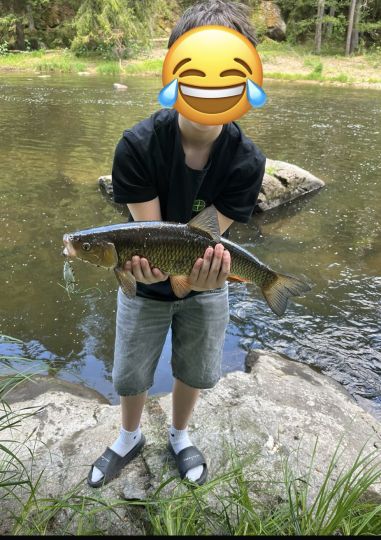 Döbel