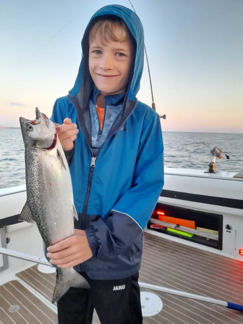 Lachs
