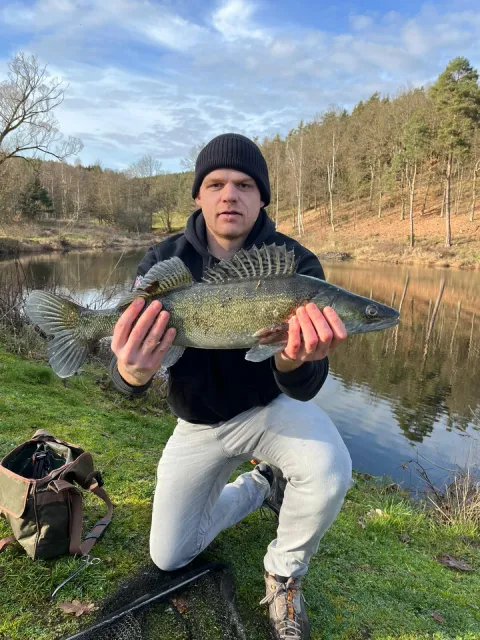 Zander