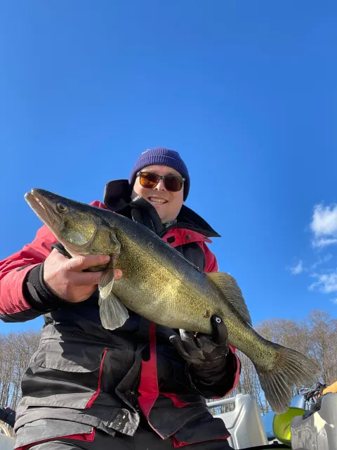 Zander
