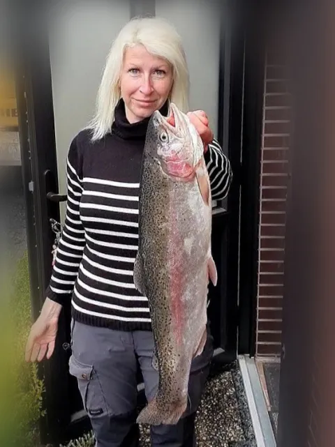 Regenbogenforelle