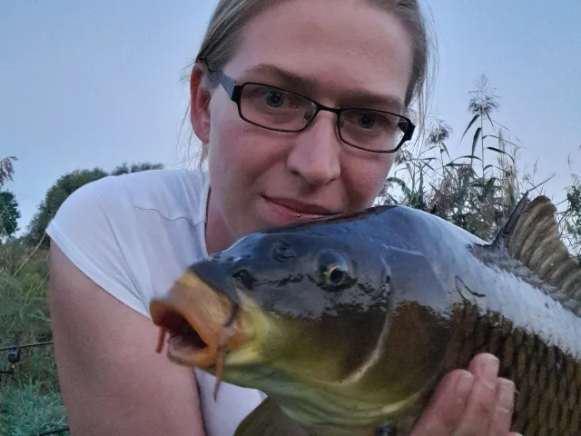Karpfen