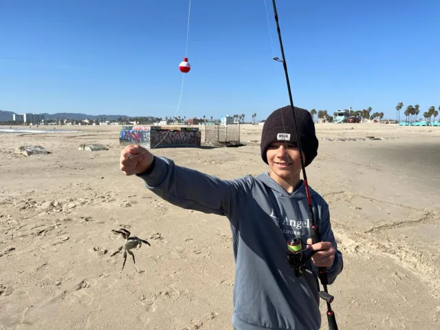 Strandkrabbe