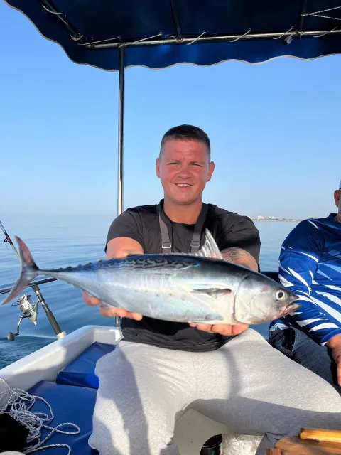 Bonito