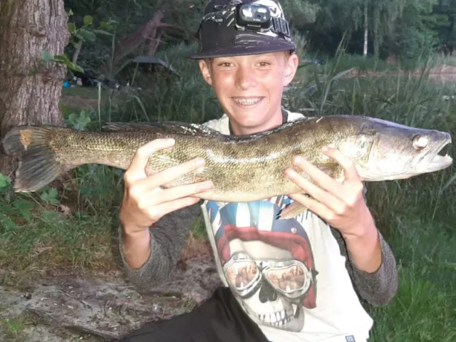 Zander