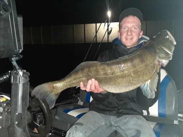 Zander