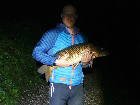 Karpfen-4