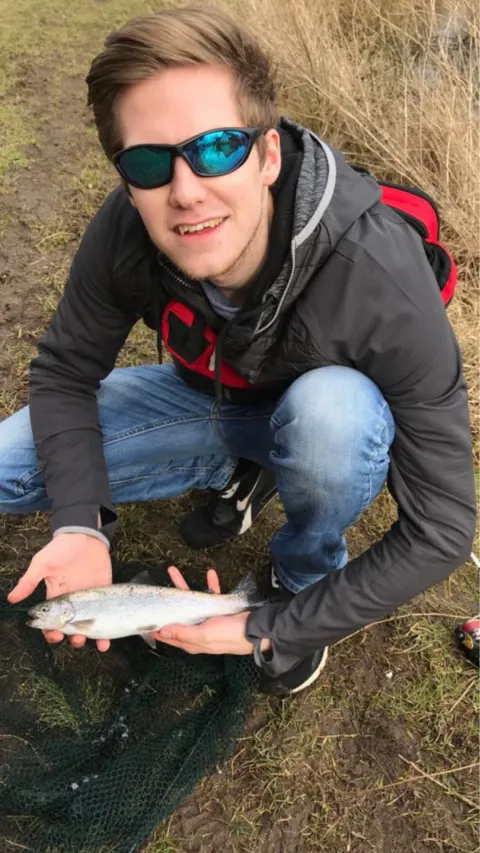 Regenbogenforelle