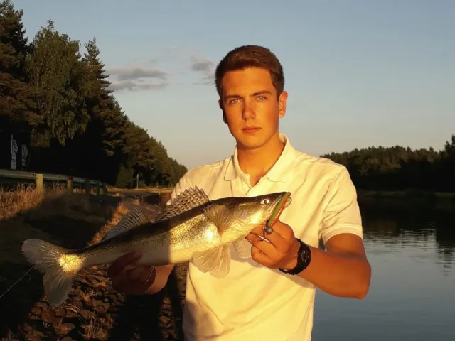 Zander