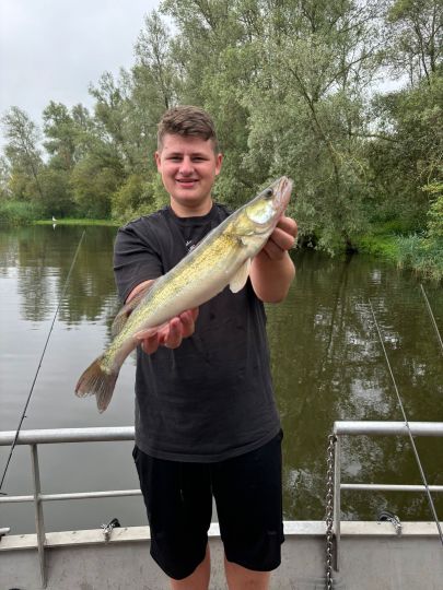 Zander
